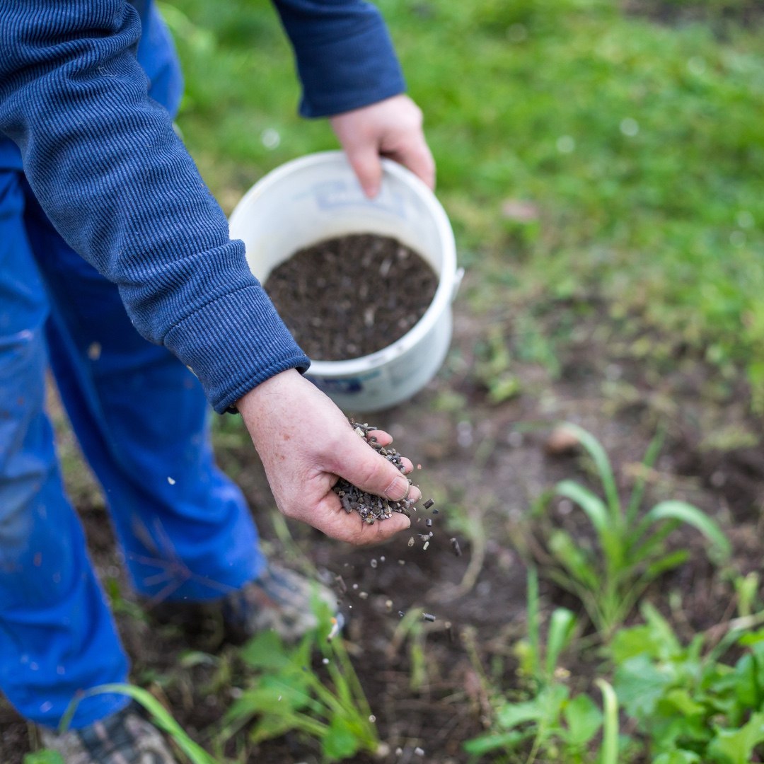 Fertilización de invierno: cómo preparar el suelo para la próxima campaña agrícola